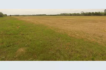 Tbd Kloss Road, Sealy, TX 77474 - Photo 13