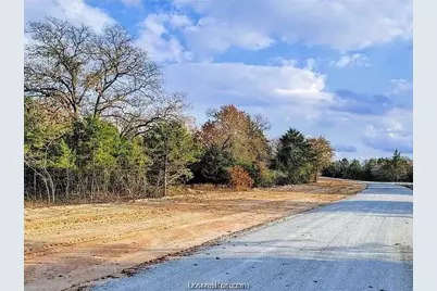 4476 Hampshire Lane, Franklin, TX 77856 - Photo 9