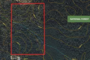 23848 Bailey Grove Rd, Montgomery, TX 77356 - Photo 1