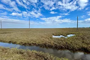 Tbd Seacoast St, Freeport, TX 77541 - Photo 1