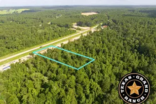 1 Dripping Vat Rd, Huntsville, TX 77340 - Photo 1