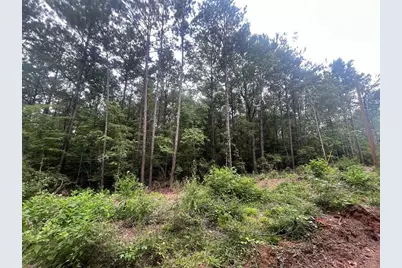 Tract 57 Fm 1751, San Augustine, TX 75972 - Photo 3