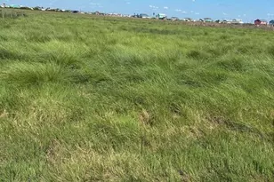 205 Old Caney, Sargent, TX 77414 - Photo 1