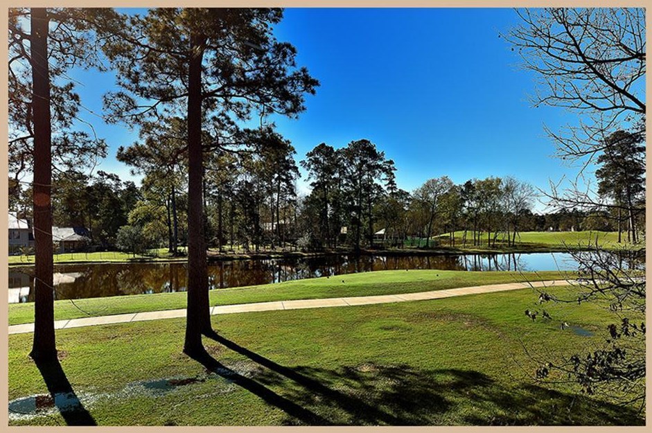 6 Timber Top Dr, Spring TX  77380-1445 exterior