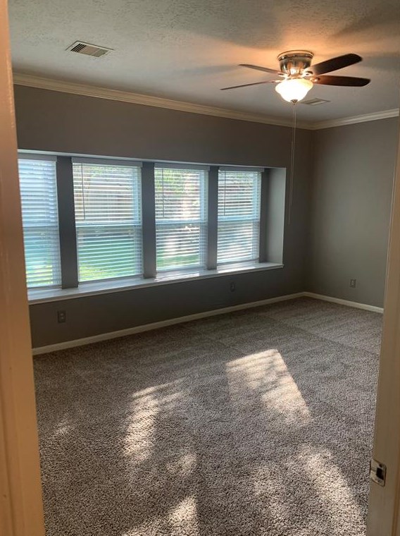 13826 Rosebranch Ct, Houston TX  77059-3540 exterior