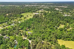 1107 Virgie Community Rd, Magnolia, TX 77354 - Photo 11