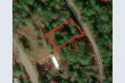 Lot 14 Hollybrook Drive, Plantersville, TX 77363 - Photo 1