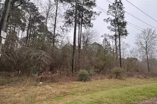 13 County Rd 3479, Cleveland, TX 77327 - Photo 1