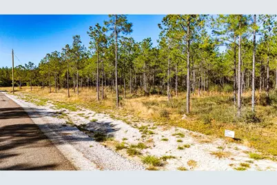 022 Magnolia Ranch Road, Onalaska, TX 77360 - Photo 5
