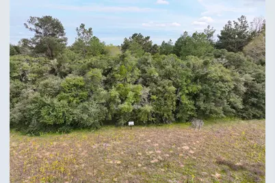 Lot 98 Pr 1315, Centerville, TX 75833 - Photo 11