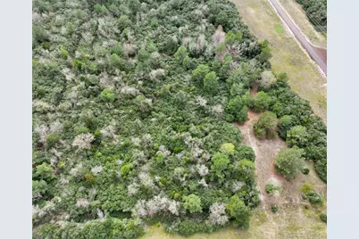 Lot 98 Pr 1315, Centerville, TX 75833 - Photo 7