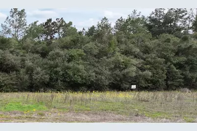 Lot 98 Pr 1315, Centerville, TX 75833 - Photo 9