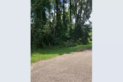 Tbd Holly Drive, Onalaska, TX 77360 - Photo 1