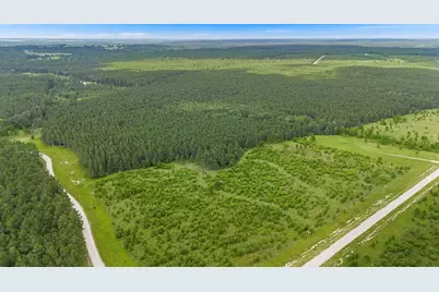 3340 Taylor Trail, Lovelady, TX 75851 - Photo 9