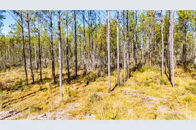 025 Magnolia Ranch Rd Road, Onalaska, TX 77360 - Photo 15