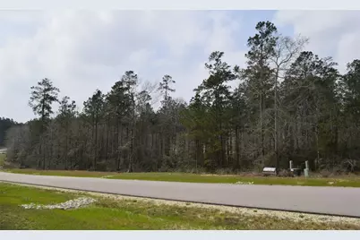 309 Exploration Road, Willis, TX 77378 - Photo 9