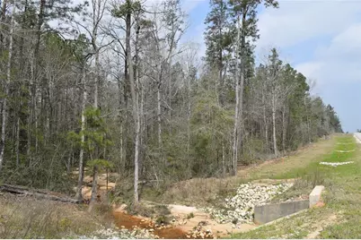 309 Exploration Road, Willis, TX 77378 - Photo 15