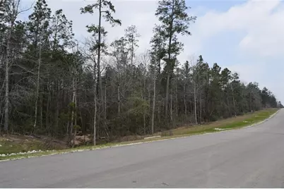 309 Exploration Road, Willis, TX 77378 - Photo 5