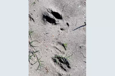 04 Cr 390 Gillette Rd C, Palacios, TX 77465 - Photo 5