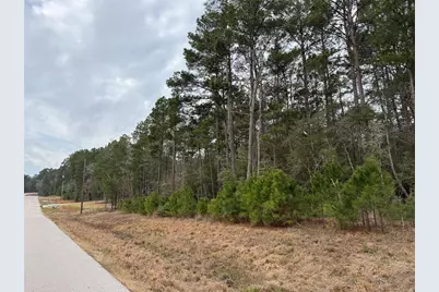 7-25-37 Sky Oak Ln Lane, Huntsville, TX 77340 - Photo 11