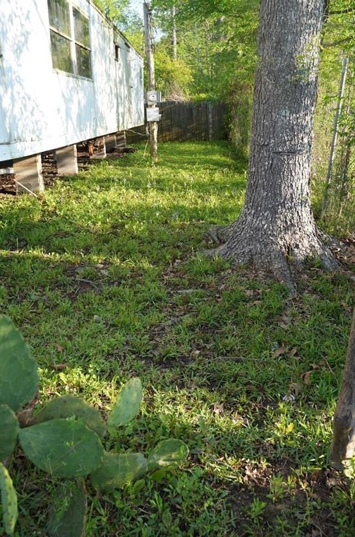 25837 Almarie Dr, Roman Forest TX 77357-6809 exterior