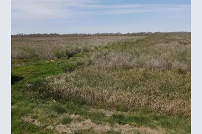01 Fm 2918, Brazoria, TX 77422 - Photo 17