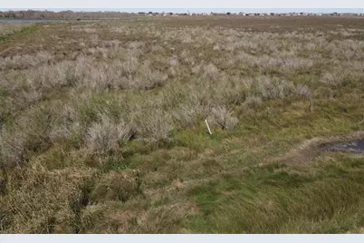 01 Fm 2918, Brazoria, TX 77422 - Photo 7