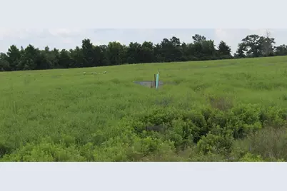 4306 Private Road 1310, Centerville, TX 75833 - Photo 7