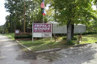 Lot 13 Moose Dr, Onalaska, TX 77360 - Photo 1