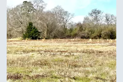 Tract #21 Southfield Trail, Lovelady, TX 75851 - Photo 11