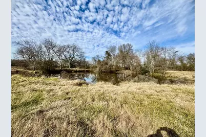 Tract #21 Southfield Trail, Lovelady, TX 75851 - Photo 3