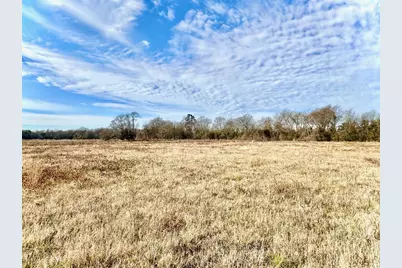Tract #21 Southfield Trail, Lovelady, TX 75851 - Photo 5