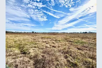 Tract #21 Southfield Trail, Lovelady, TX 75851 - Photo 7