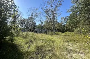 968 Church St, Brookeland, TX 75931 - Photo 5