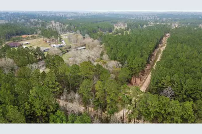 12+ Acres County Line Road, Shepherd, TX 77371 - Photo 19