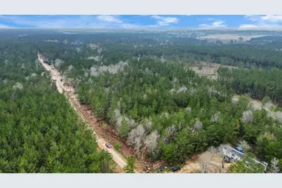 12+ Acres County Line Road, Shepherd, TX 77371 - Photo 13