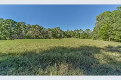 140 Little Road Loop, New Waverly, TX 77358 - Photo 7