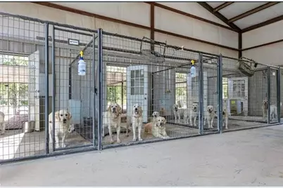 100 Patriots Place, Somerville, TX 77879 - Photo 41