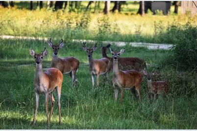 454 Lakeview Drive, Cleveland, TX 77327 - Photo 11