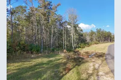 11615 Dawn Tree Lane, Willis, TX 77378 - Photo 5