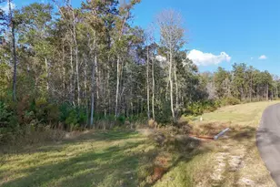 11615 Dawn Tree Ln, Willis, TX 77378 - Photo 5