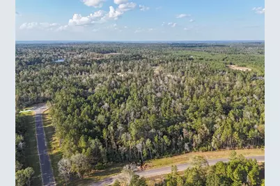 11615 Dawn Tree Lane, Willis, TX 77378 - Photo 3