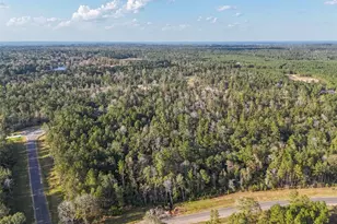 11615 Dawn Tree Ln, Willis, TX 77378 - Photo 3