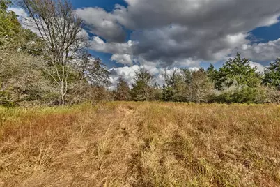 4277 Opersteny Road, Bryan, TX 77808 - Photo 13