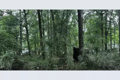 Tbd Mudd Street, Coldspring, TX 77331 - Photo 1