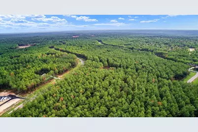 10886 Ruger Road, Willis, TX 77378 - Photo 13