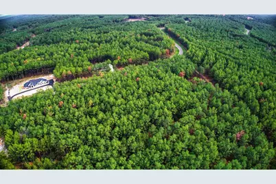 10886 Ruger Road, Willis, TX 77378 - Photo 15