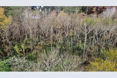 12651 Royal Creek Road, Conroe, TX 77303 - Photo 3