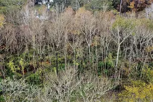 12651 Royal Creek Rd, Conroe, TX 77303 - Photo 3