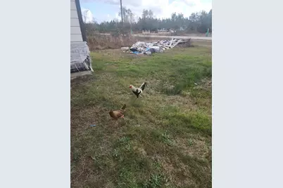 86 Road 5102 #L, Cleveland, TX 77327 - Photo 9